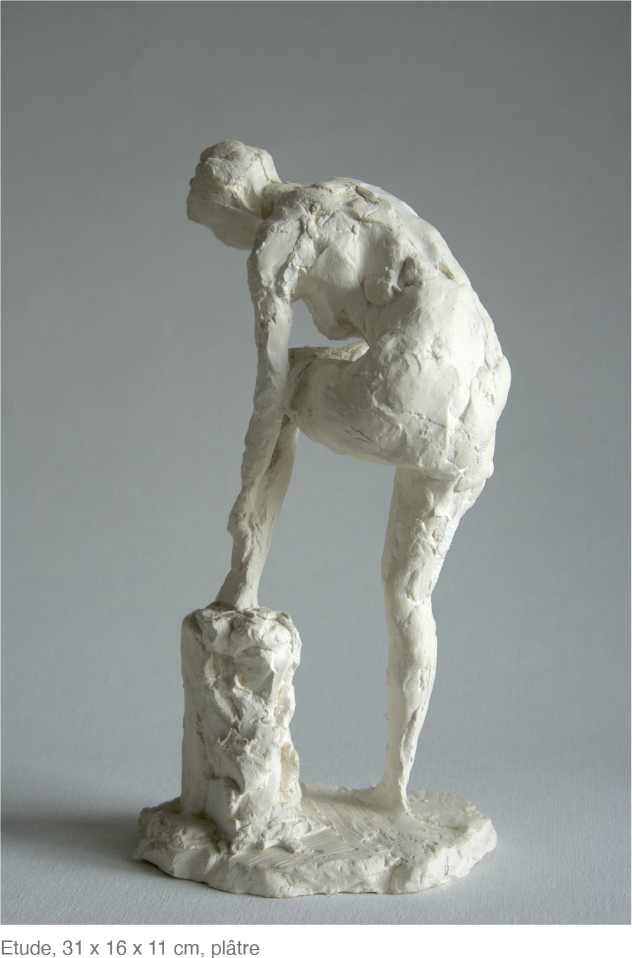 Etude, 31 x 16 x 11 cm, plâtre