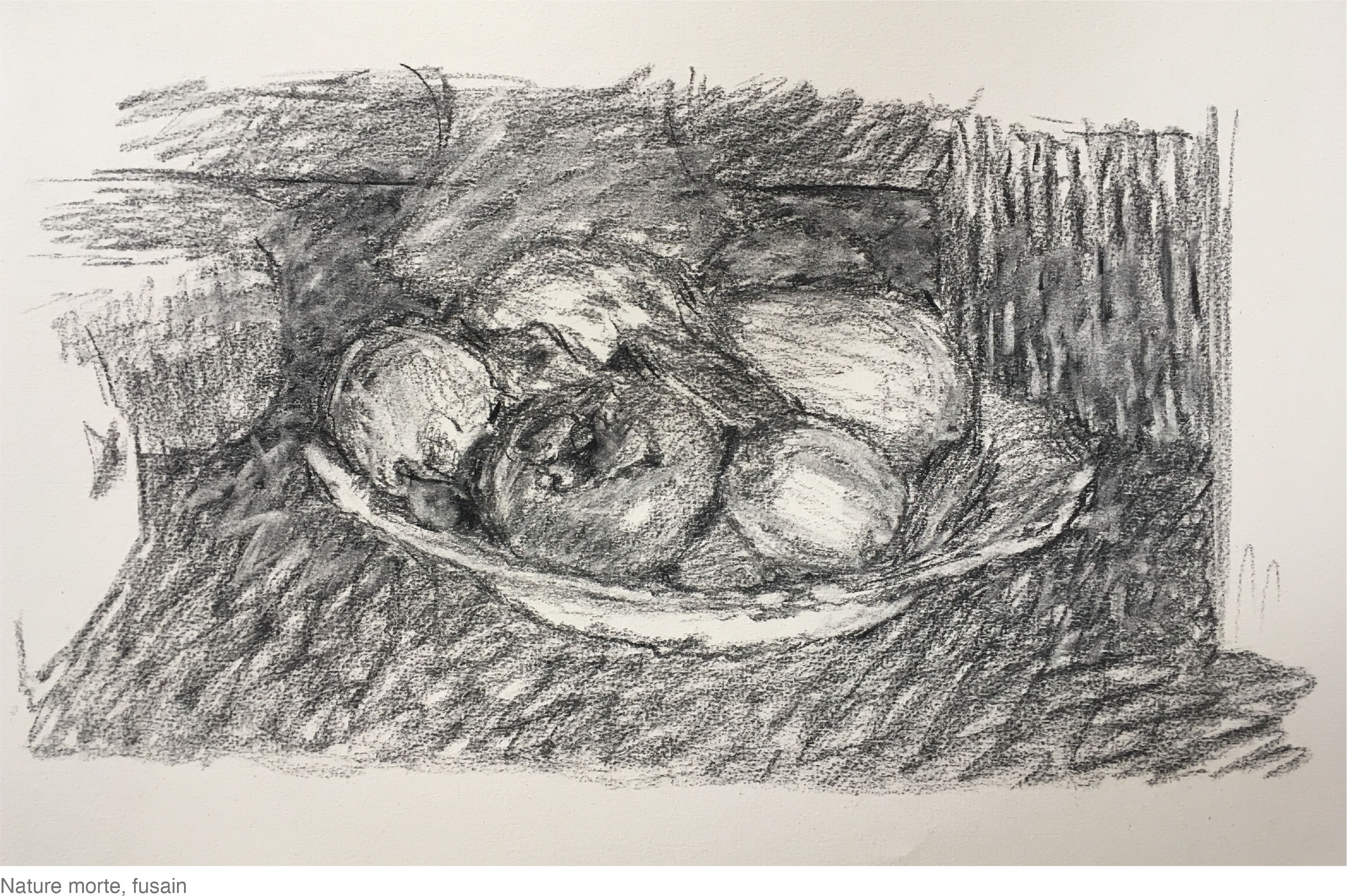 Nature morte, fusain