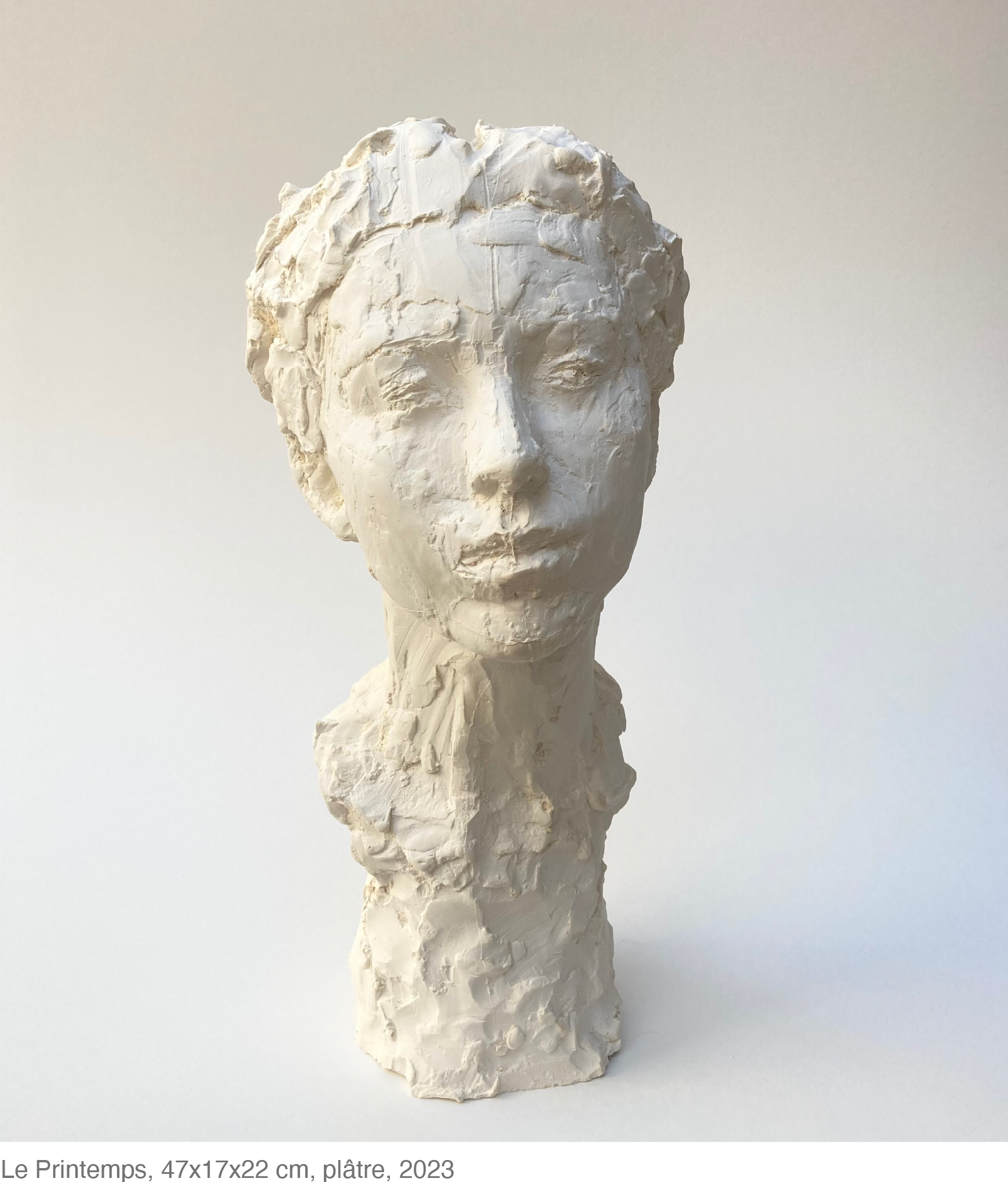 Plan de travail 1 copie 41