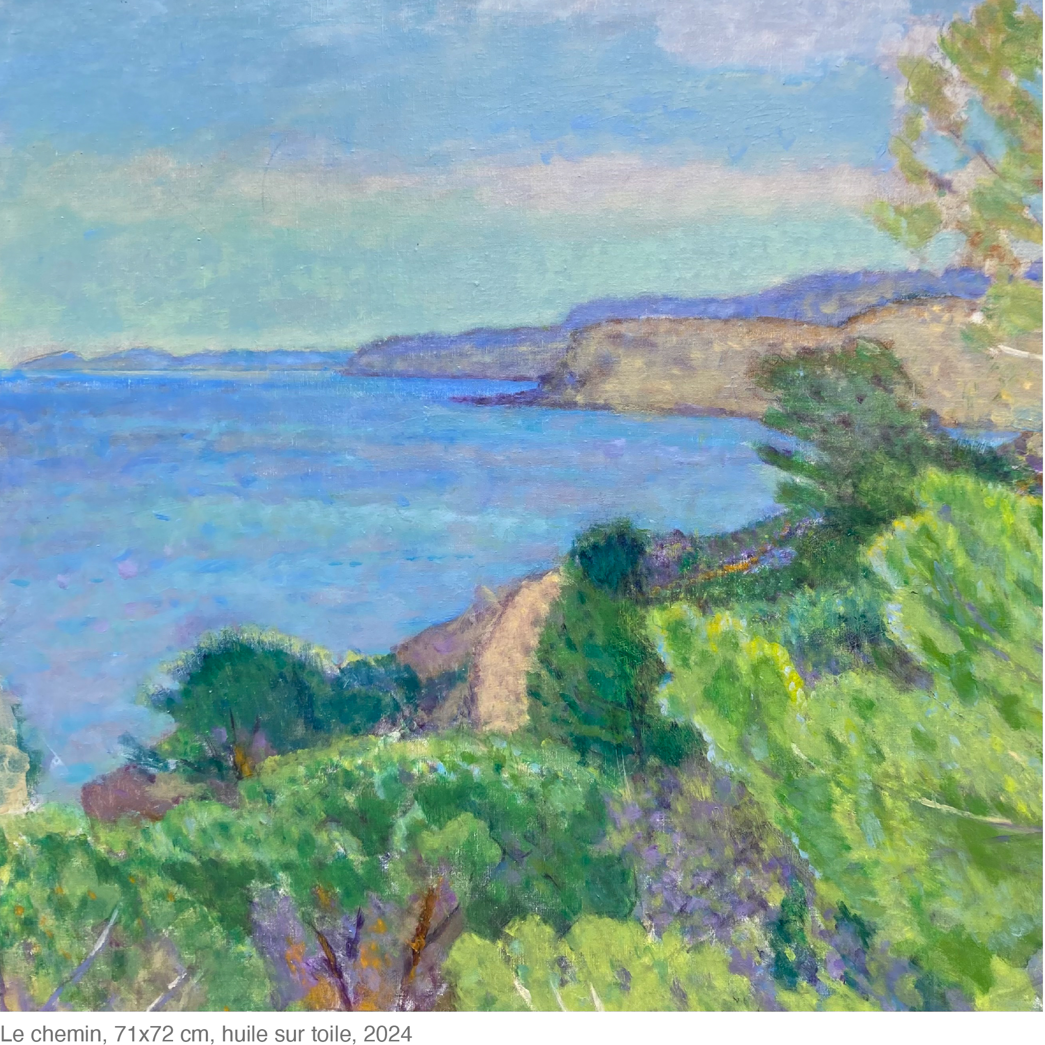 Plan de travail 1 copie 51